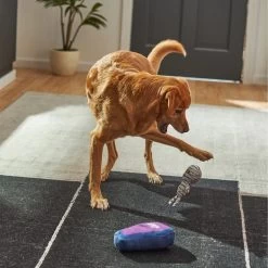 Frisco Halloween Mummy & Coffin Plush Squeaky Dog Toy -Pet Dog Supplies Shop 270437 PT3. AC SS1800 V1624817278