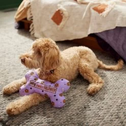 Frisco Halloween My First Halloween Bone Reversible Plush Squeaky Dog Toy 9 Frisco Halloween My First Halloween Bone Reversible Plush Squeaky Dog Toy -Pet Dog Supplies Shop 270452 PT3. AC SS1800 V1624817314