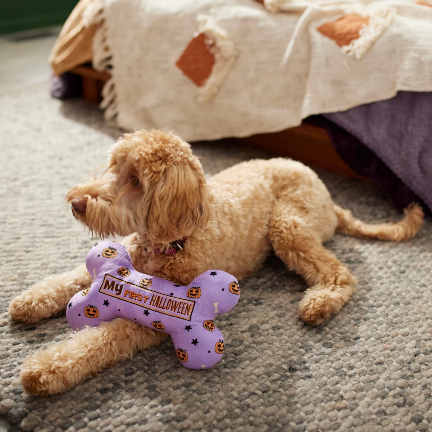 Frisco Halloween My First Halloween Bone Reversible Plush Squeaky Dog Toy 4 Frisco Halloween My First Halloween Bone Reversible Plush Squeaky Dog Toy - Image 4