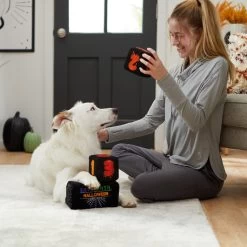 Frisco Halloween 30 Days Of Halloween Countdown Blocks Plush Squeaky Dog Toy -Pet Dog Supplies Shop 270494 PT3. AC SS1800 V1624817483