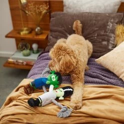 Frisco Halloween Frankenstein & Bride Plush With Rope Squeaky Dog Toy 7 Frisco Halloween Frankenstein & Bride Plush With Rope Squeaky Dog Toy -Pet Dog Supplies Shop 270496 PT3. AC SS1800 V1624824775