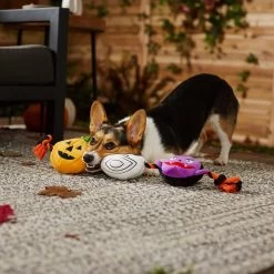 Frisco Halloween Haunted Friends Plush With Rope Squeaky Dog Toy -Pet Dog Supplies Shop 270500 PT3. AC SS1800 V1624825043