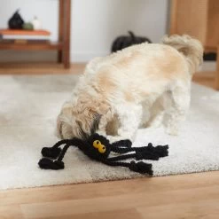 Frisco Halloween Spider Rope Dog Toy -Pet Dog Supplies Shop 270504 PT3. AC SS1800 V1624825021