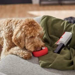 Frisco Halloween Vampire Teeth & Knife Latex Squeaky Dog Toy -Pet Dog Supplies Shop 270512 PT3. AC SS1800 V1624817093