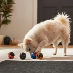 Frisco Halloween Glow In The Dark Fetch Squeaky Tennis Ball Dog Toy 9 Frisco Halloween Glow In The Dark Fetch Squeaky Tennis Ball Dog Toy -Pet Dog Supplies Shop 270525 PT3. AC SS1800 V1624824980