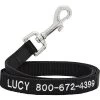 Frisco Solid Nylon Personalized Dog Leash