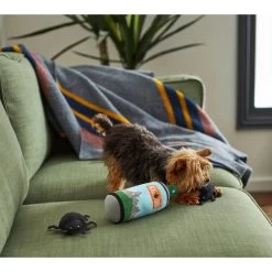 Frisco Camping Bug Spray Plush Squeaky Dog Toy, 3 Count -Pet Dog Supplies Shop 270989 PT3. AC SS1800 V1625009020