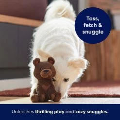 Frisco Camping Bear Plush Squeaky Dog Toy -Pet Dog Supplies Shop 270999 PT5. AC SS1800 V1691785245