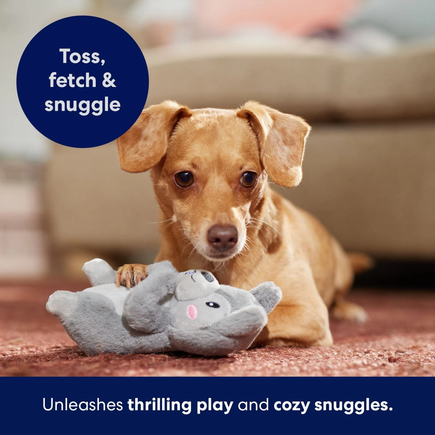 Frisco Camping Squirrel Plush Squeaky Dog Toy 5 Frisco Camping Squirrel Plush Squeaky Dog Toy - Image 5