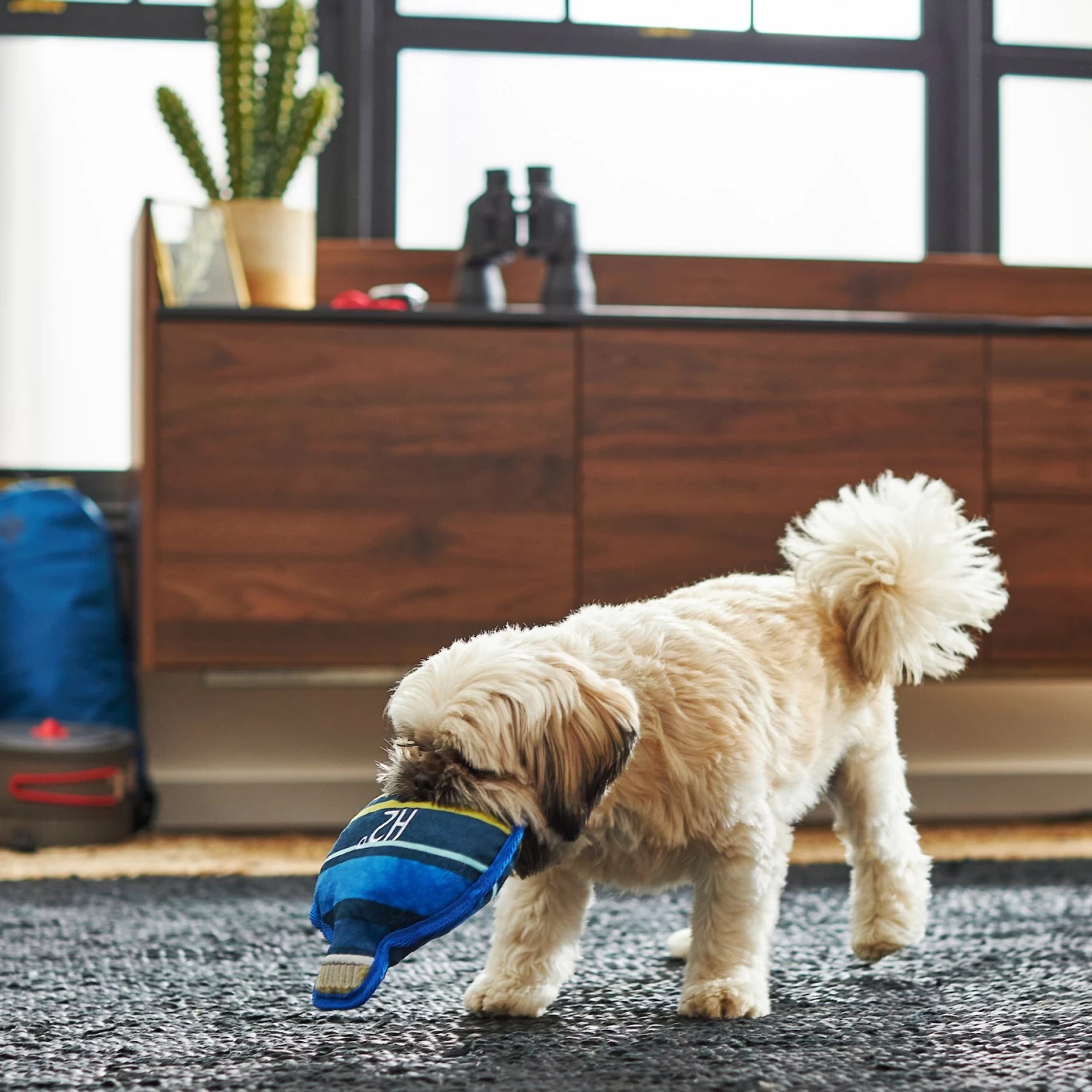 Frisco Camping Canteen Plush With Rope Squeaky Dog Toy 3 Frisco Camping Canteen Plush With Rope Squeaky Dog Toy - Image 3