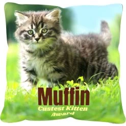 Frisco Personalized Basic Throw Pillow, 16" X 16" -Pet Dog Supplies Shop 271237 PT2. AC SS1800 V1620405726