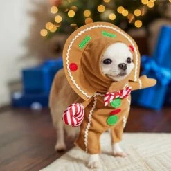 Frisco Front Walking Gingerbread Dog & Cat Costume -Pet Dog Supplies Shop 276156 PT8. AC SS1800 V1631568795