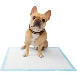 Frisco Premium Dog Training & Potty Pads & Frisco Premium Extra Large Dog Training & Potty Pads 13 Frisco Premium Dog Training & Potty Pads & Frisco Premium Extra Large Dog Training & Potty Pads -Pet Dog Supplies Shop 276223 PT4. AC SS1800 V1616193411