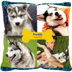 Frisco "Contemporary #2" Throw Pillow 16 X 16 -Pet Dog Supplies Shop 276901 PT2. AC SS1800 V1625686286