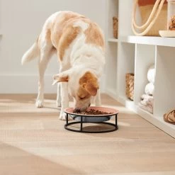 Frisco Elevated Non-skid Stainless Steel Dog & Cat Bowl -Pet Dog Supplies Shop 277523 PT2. AC SS1800 V1630346993