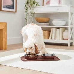 Frisco Silicone Stainless Steel Double Diner Dog & Cat Bowl, Brown 9 Frisco Silicone Stainless Steel Double Diner Dog & Cat Bowl, Brown -Pet Dog Supplies Shop 277551 PT2. AC SS1800 V1630346531