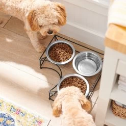 Frisco Multi Pet Feeding Corner 3-Bowls Stainless Steel Dog & Cat Bowl -Pet Dog Supplies Shop 277561 PT2. AC SS1800 V1630346973