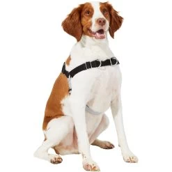Frisco Basic No Pull Harness -Pet Dog Supplies Shop 277873 PT3. AC SS1800 V1629766656