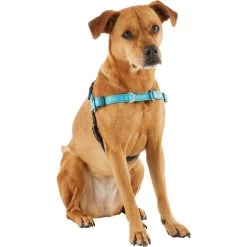 Frisco Padded Reflective No Pull Harness -Pet Dog Supplies Shop 277892 PT3. AC SS1800 V1629758833