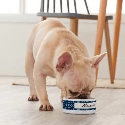 Frisco Personalized Mudcloth Small Dog & Cat Bowl -Pet Dog Supplies Shop 278936 PT3. AC SS1800 V1629147692