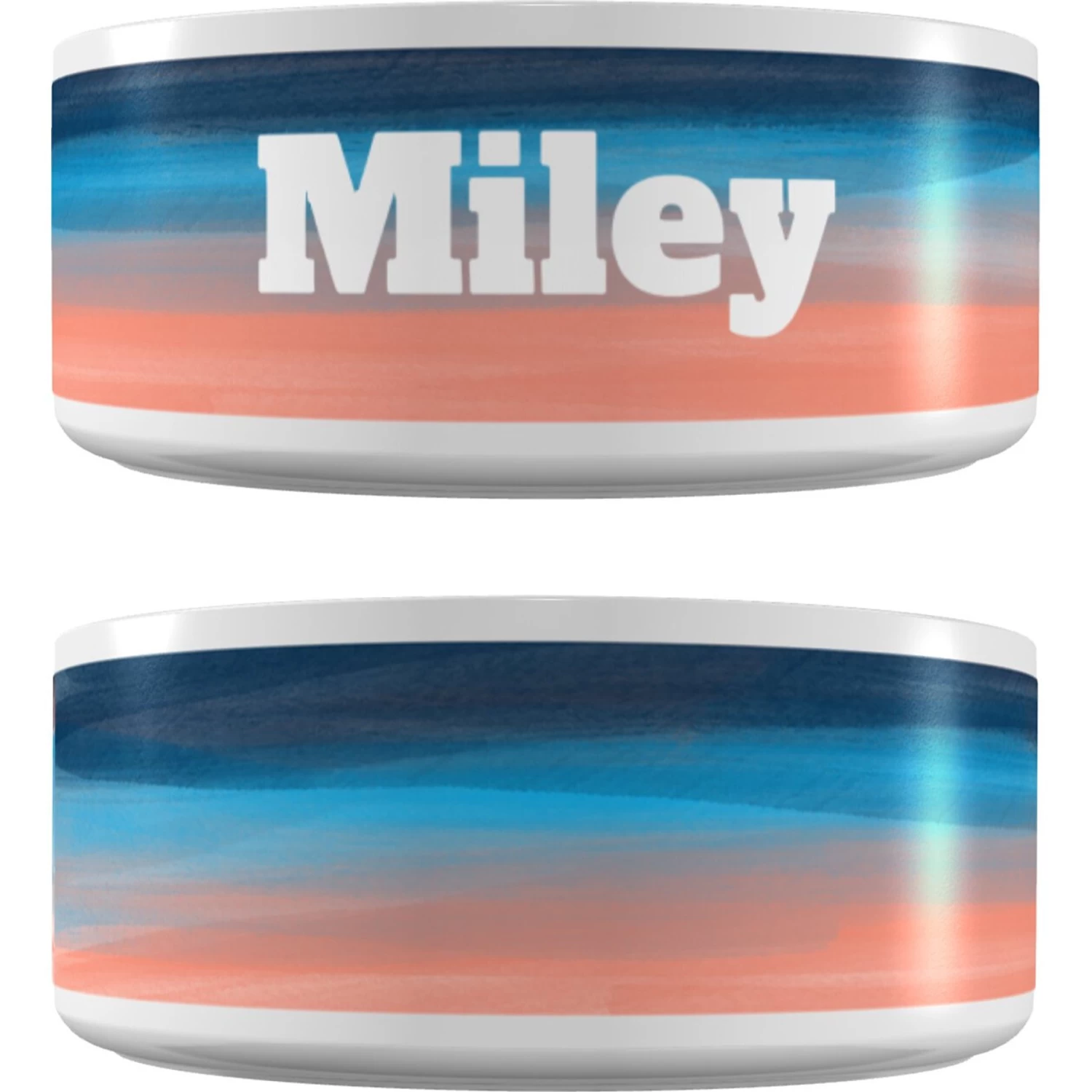 Frisco Personalized Watercolor Dog Bowl 1 Frisco Personalized Watercolor Dog Bowl