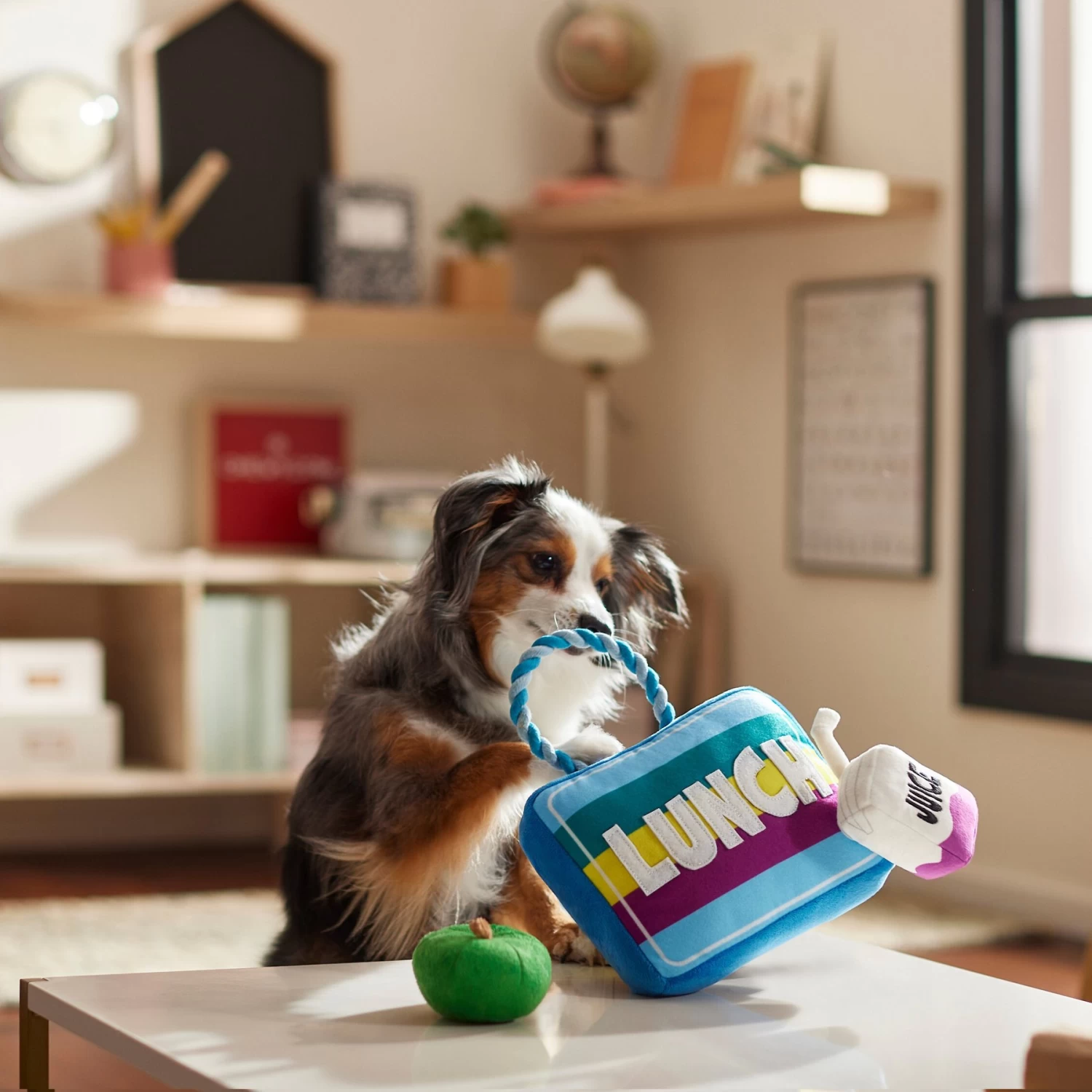 Frisco Back To School Lunchbox With Juice & Apple Plush With Rope Squeaky Dog Toy 3 Frisco Back To School Lunchbox With Juice & Apple Plush With Rope Squeaky Dog Toy - Image 3