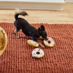 Frisco Fall Maple Bacon Donuts Plush Squeaky Dog Toy, 3 Count 7 Frisco Fall Maple Bacon Donuts Plush Squeaky Dog Toy, 3 Count -Pet Dog Supplies Shop 285613 PT3. AC SS1800 V1629725241