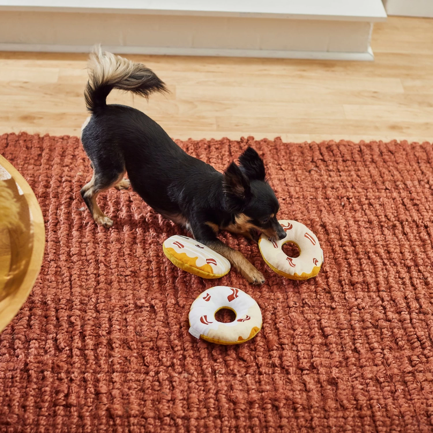 Frisco Fall Maple Bacon Donuts Plush Squeaky Dog Toy, 3 Count 4 Frisco Fall Maple Bacon Donuts Plush Squeaky Dog Toy, 3 Count - Image 4