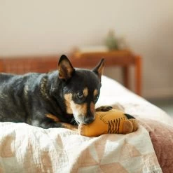 Frisco Fall Boot Plush Squeaky Dog Toy -Pet Dog Supplies Shop 285619 PT3. AC SS1800 V1629724969