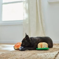 Frisco Fall Pancakes & Maple Syrup Plush Squeaky Dog Toy, 2 Count -Pet Dog Supplies Shop 285627 PT3. AC SS1800 V1629725170