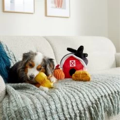 Frisco Fall Farmhouse Hide & Seek Puzzle Plush Squeaky Dog Toy -Pet Dog Supplies Shop 285629 PT3. AC SS1800 V1629725107
