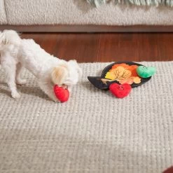 Frisco Fall Autumn Tree With Apples Interactive Plush Squeaky Dog Toy, 4 Count -Pet Dog Supplies Shop 285633 PT3. AC SS1800 V1629725360