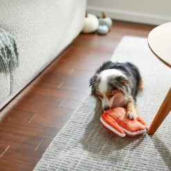 Frisco Fall Sweater Weather Flat Plush Squeaky Dog Toy -Pet Dog Supplies Shop 285635 PT3. AC SS1800 V1629725212