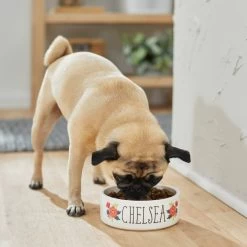 Frisco Flower Ceramic Personalized Dog Bowl -Pet Dog Supplies Shop 286985 PT2. AC SS1800 V1625764713