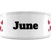 Frisco Hearts Ceramic Personalized Dog Bowl