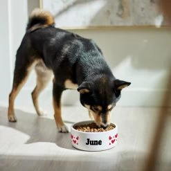Frisco Hearts Ceramic Personalized Dog Bowl -Pet Dog Supplies Shop 286995 PT4. AC SS1800 V1639518111