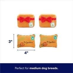 Frisco Holiday North Pole Mailbox Hide & Seek Puzzle Plush Squeaky Dog Toy -Pet Dog Supplies Shop 287095 PT2. AC SS1800 V1695043914