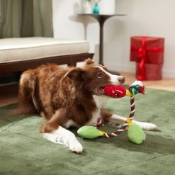 Frisco Holiday Lights Plush With Rope Squeaky Dog Toy -Pet Dog Supplies Shop 287109 PT3. AC SS1800 V1632775707