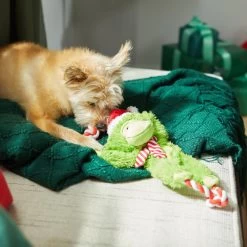 Frisco Holiday Monkey Plush With Rope Squeaky Dog Toy 9 Frisco Holiday Monkey Plush With Rope Squeaky Dog Toy -Pet Dog Supplies Shop 287115 PT3. AC SS1800 V1632774182