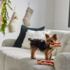 Frisco Holiday Bacon Plush Squeaky Dog Toy, 2 Count -Pet Dog Supplies Shop 287143 PT3. AC SS1800 V1632774888