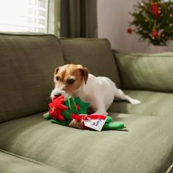 Frisco Flower Bouquet Plush Squeaky Dog Toy -Pet Dog Supplies Shop 287163 PT3. AC SS1800 V1632776821