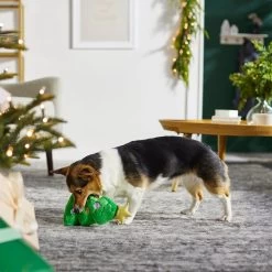 Frisco Holiday Tree Thin Plush Squeaky Dog Toy 7 Frisco Holiday Tree Thin Plush Squeaky Dog Toy -Pet Dog Supplies Shop 287167 PT3. AC SS1800 V1632773873