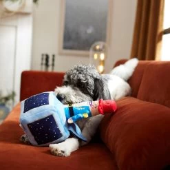 Frisco Nutcracker-in-a-Box Plush Squeaky Dog Toy -Pet Dog Supplies Shop 287173 PT3. AC SS1800 V1632773316