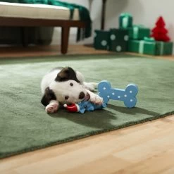 Frisco Blue Bundle Latex Squeaky Puppy Toy, 2 Count -Pet Dog Supplies Shop 287185 PT3. AC SS1800 V1632775643