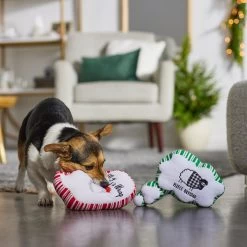 Frisco Holiday Thought Bubble Plush Squeaky Dog Toy, 2 Count -Pet Dog Supplies Shop 287195 PT3. AC SS1800 V1632772983