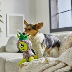 Frisco Holiday Alien Plush Squeaky Dog Toy -Pet Dog Supplies Shop 287201 PT3. AC SS1800 V1632775002