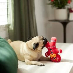 Frisco Holiday Naughty Or Nice Gingerbread Man Reversible Plush Squeaky Dog Toy -Pet Dog Supplies Shop 287217 PT3. AC SS1800 V1632775304