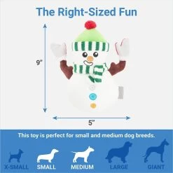 Frisco Holiday Naughty Or Nice Snowman Reversible Plush Squeaky Dog Toy -Pet Dog Supplies Shop 287219 PT2. AC SS1800 V1637704003