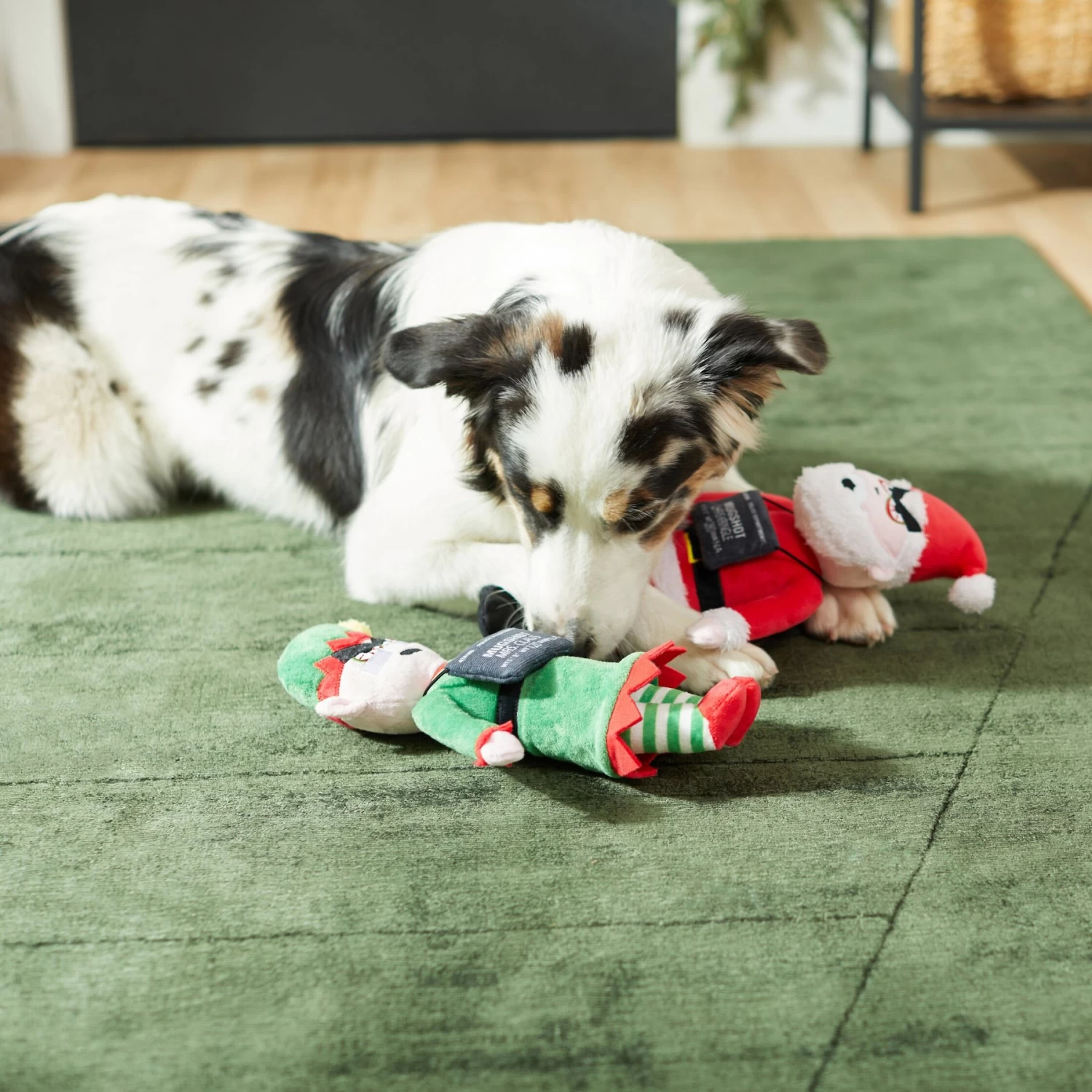 Frisco Holiday Bad Santa & Elf Plush Squeaky Dog Toy 3 Frisco Holiday Bad Santa & Elf Plush Squeaky Dog Toy - Image 3