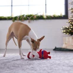 Frisco Holiday Santa & Snowman Reversible Plush Squeaky Dog Toy -Pet Dog Supplies Shop 287263 PT3. AC SS1800 V1632775712